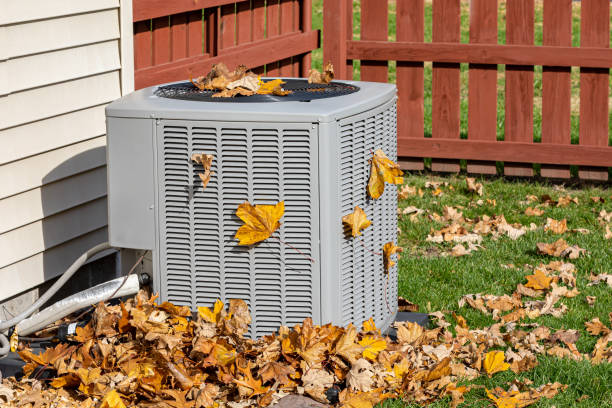 Best Local HVAC Companies  in Rincon, GA